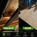 Dezinsectie Plosnite, gandaci, tantari, viespi Bucuresti